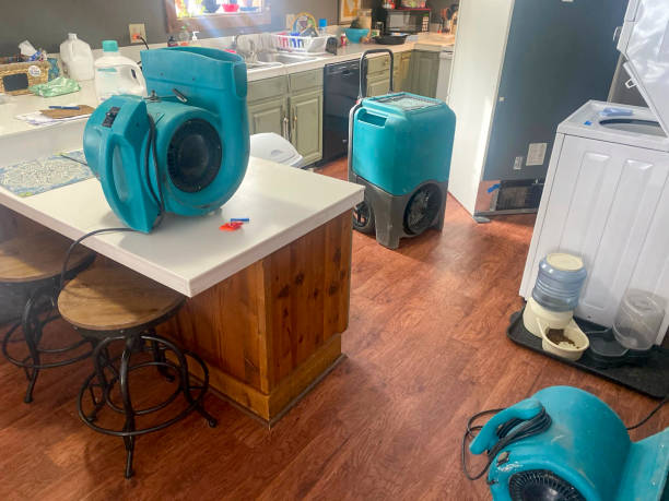 Best Water damage restoration near me  in Coldspring, TX