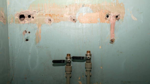 Best Emergency water extraction  in Coldspring, TX