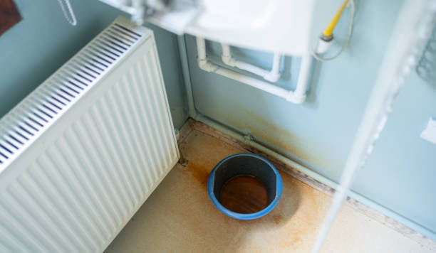 Best Local water damage restoration  in Coldspring, TX